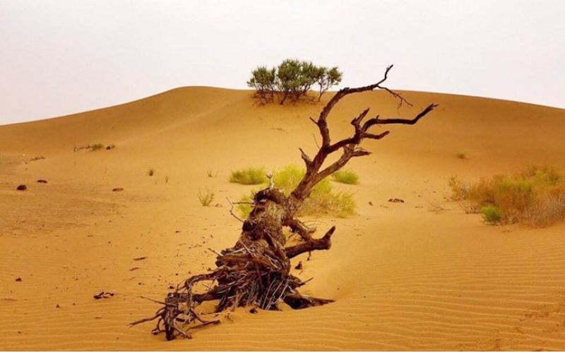 敦煌旅游進入“高溫”模式