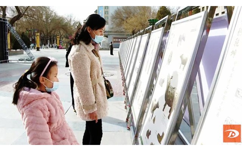 【網(wǎng)絡(luò)中國節(jié)·春節(jié)】新春生肖文物圖片聯(lián)展為敦煌市民送上文化餐